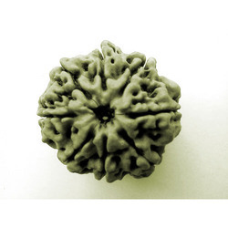 Rudraksha Beads