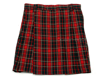 Girls School Skirt