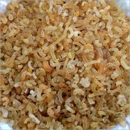 Fresh Gond