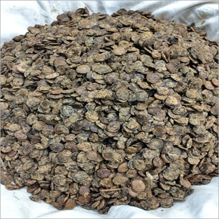 Fresh Dry Kumatia