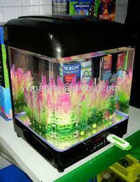 exclusive musical aquarium tanks