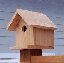 Bird house