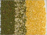 Moong Dal