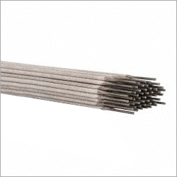 Stainless Steel Electrodes