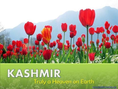 Kashmir Tour