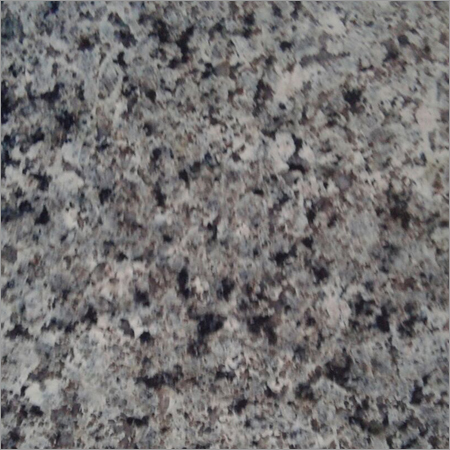 Nosara Green Granite Slabs