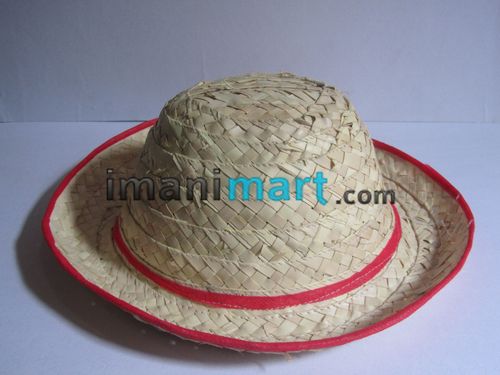 Pool Party Straw hats