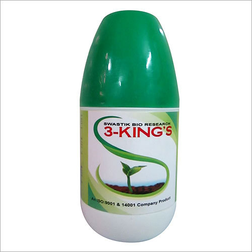 3-King's