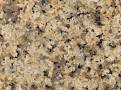 Mongariya Red Granite Slab