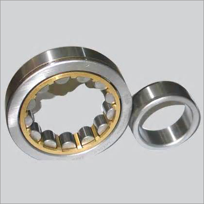 Cylindrical SS Roller Bearings