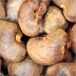 Raw Cashew Nuts