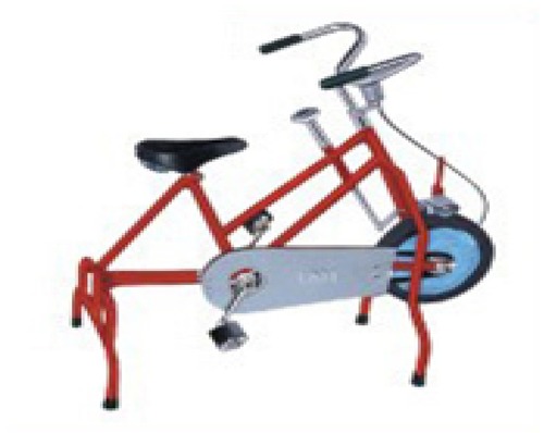 Exercise cycle