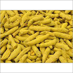 Turmeric Finger