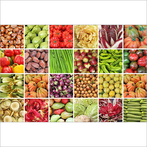 Fresh Vegetables