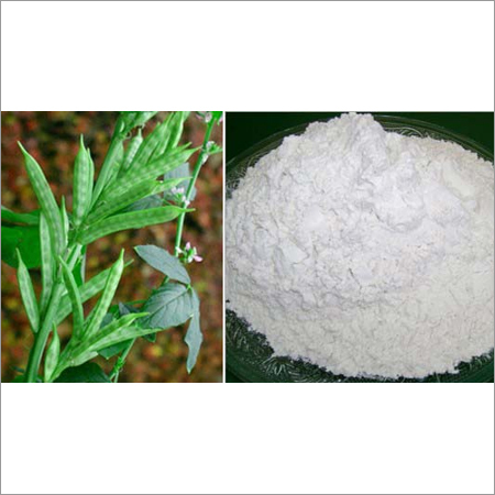 Guar Gum Powder