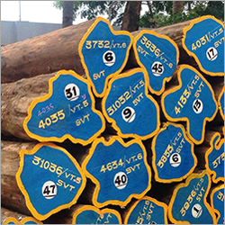 Burma Teak Wood Logs