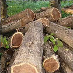 Ghana Teak Wood
