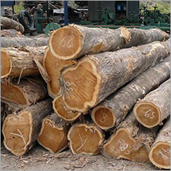 Nigeria Teak Wood