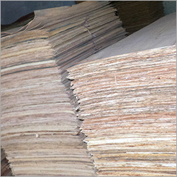 Eucalyptus Plywood Sheet