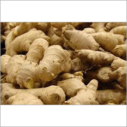 Organic Ginger
