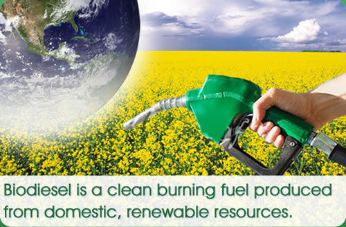 Bio Diesel