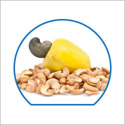 Raw Cashew Nuts