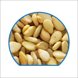 Sesame Seeds