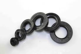 Oil Seals