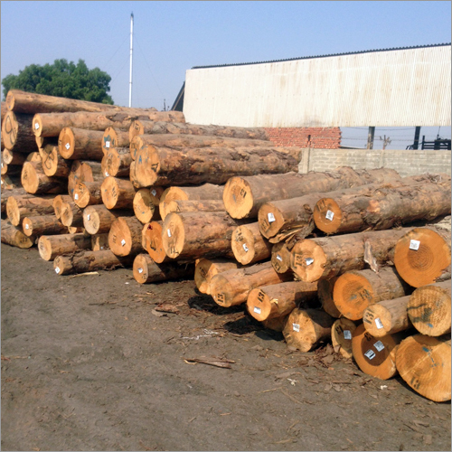 Economical Pine Wood Planks