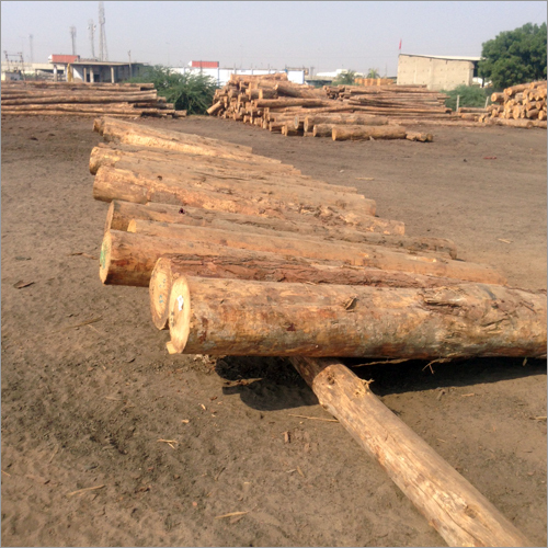 White Pine Wood - Creamy White, Even-Textured | Economical, Durable, Custom Size for Furniture and Mill Work