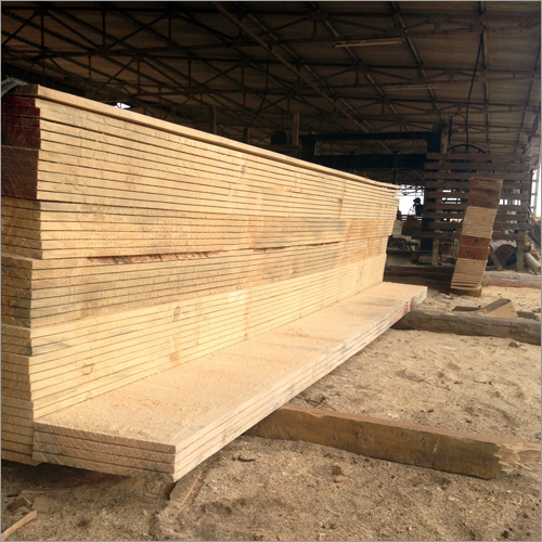 Economical Spruce Pine