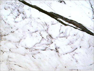 Staturio Stone - Polished Marble, Custom Size, White | Durable Material, Precise Cuts, Elegant Design