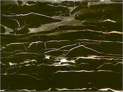 Designer Marble - Marble, Customizable 10-30mm Thickness, Dark Brown | Polished Finish, Elegant Design, Durable Material, Interior Exterior Use