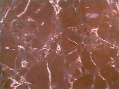 Red Quartzite Marble