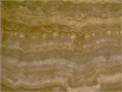 Abony Travertine Marble