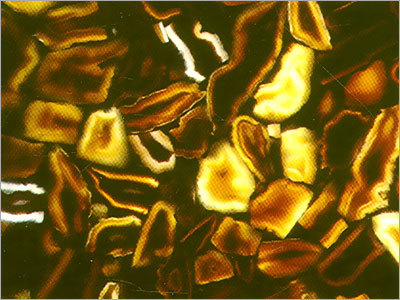 Flora Marble - Natural Marble, Customizable Dimensions, Brown | Stain Resistant, Glossy Surface, Durable, Easy to Clean