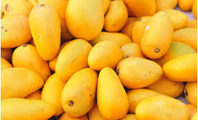 Fresh Mangoes