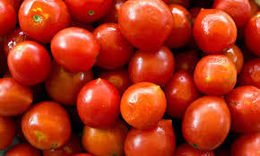 Fresh Tomato