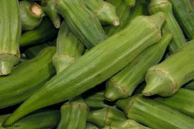 Lady Finger