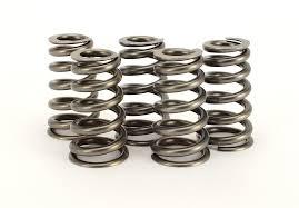 Valve Spring