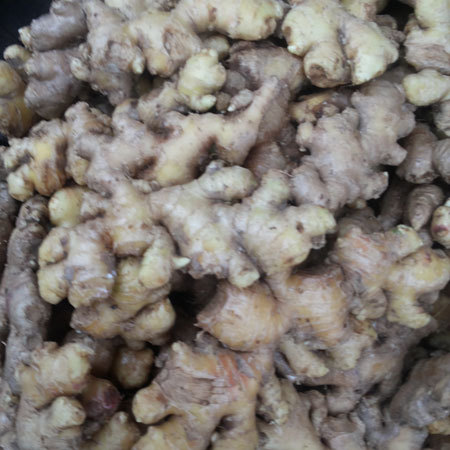 Fresh Ginger