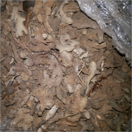 Dried Ginger