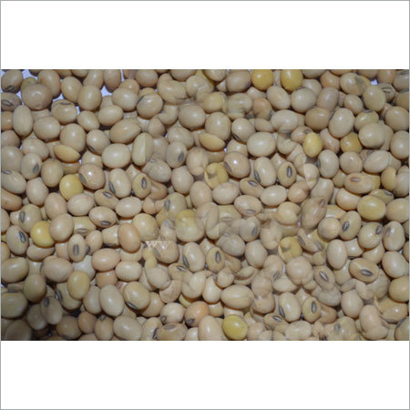 Soya Seed