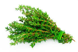 Thyme Leaf