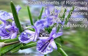 Rosemary