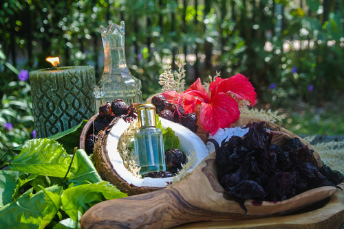 Hibiscus Shampoo