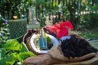 Hibiscus Shampoo