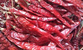 Red Chilli