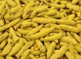 Turmeric