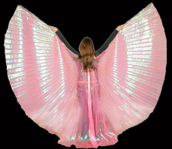 Gold Belly Dance ISIS Wing
